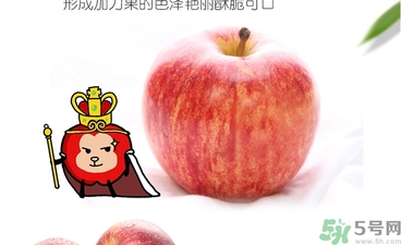姬娜果是什么？姬娜果的功效作用