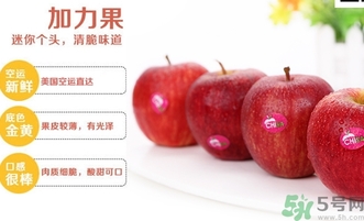 姬娜果是什么？姬娜果的功效作用