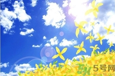如何應(yīng)對(duì)秋老虎？秋老虎如何養(yǎng)生？