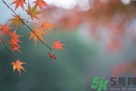 秋老虎如何謹(jǐn)防皮膚病？秋老虎如何預(yù)防皮膚??？