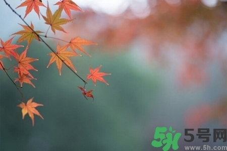 秋天換季病有哪些？秋天該如何保健養(yǎng)生呢？