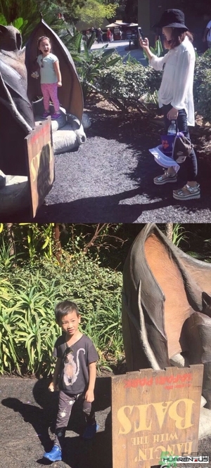 王寶強(qiáng)老婆馬蓉在美國嗎？婚姻中攜款逃跑受什么處罰？