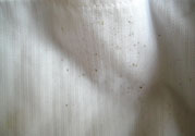 衣服長黑點怎么洗掉？衣服上長霉點怎么去除？