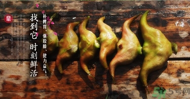 菱角和豬肉能一起吃嗎？菱角和什么不能一起吃？