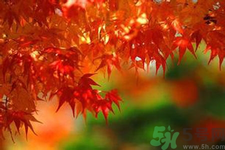 秋燥的表現(xiàn)是什么？小孩如何預(yù)防秋燥？