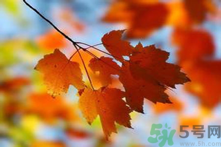 秋燥的表現(xiàn)是什么？小孩如何預(yù)防秋燥？