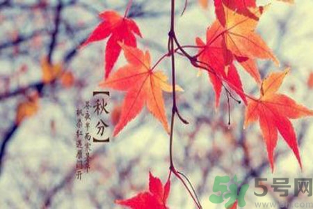 立秋潤肺可以吃什么食物？秋天潤肺可以吃的水果有哪些？