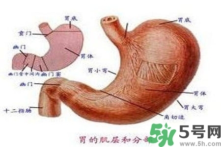 急性腸胃炎哪些食物不可以吃？急性腸胃炎不能吃的水果有？