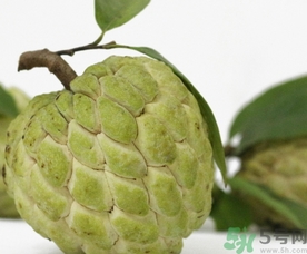 釋迦果怎么吃？釋迦的營(yíng)養(yǎng)價(jià)值功效作用
