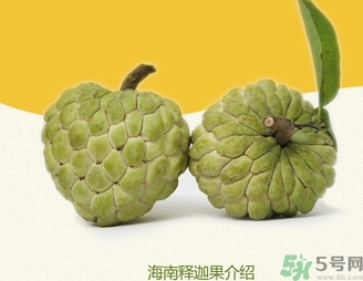 釋迦果怎么吃？釋迦的營(yíng)養(yǎng)價(jià)值功效作用