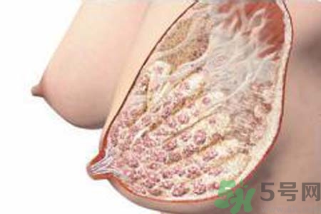 乳房脹痛的原因？乳房脹痛怎么辦？
