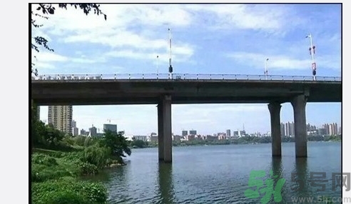 從多高的地方跳水會受傷？從多高的地方跳水會死亡？