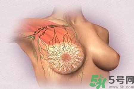乳頭發(fā)黑怎么辦？怎么樣可以使乳頭變白？