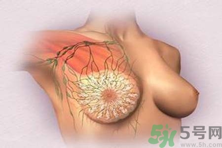 乳頭發(fā)黑是怎么回事？乳頭發(fā)黑是什么原因？