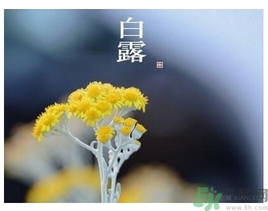 白露身不露是什么意思？白露還熱嗎？