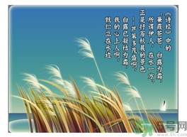 白露喝什么茶？白露養(yǎng)生茶飲推薦