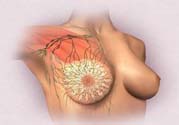 乳頭發(fā)黑是怎么回事？乳頭發(fā)黑是什么原因？