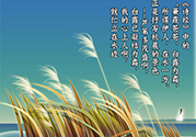 白露是什么意思？白露是幾月幾日