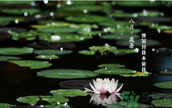 處暑如何養(yǎng)生？處暑養(yǎng)生要注意什么？