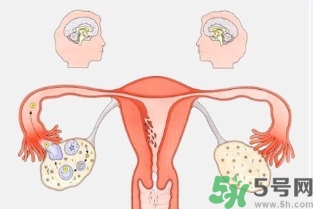 陰道出血和什么有關(guān)？陰道出血的應(yīng)急措施有哪些？