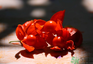 紅姑娘怎么吃？紅姑娘怎么保存？