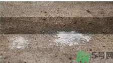 空調發(fā)黃怎么變白?空調發(fā)黃怎么清洗?