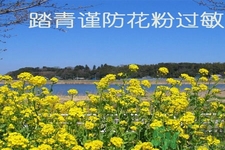 花粉過(guò)敏的表現(xiàn)是什么？如何有效的預(yù)防花粉過(guò)敏？