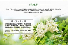 洋槐蜜的鑒別方法是什么？洋槐蜜多少錢一斤？