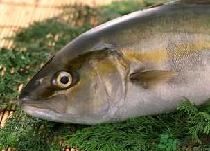 魚眼睛可以吃嗎？吃魚眼睛有什么好處？