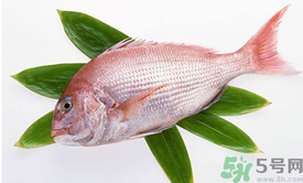 吃魚眼睛對眼睛有好處嗎？吃什么魚對眼睛好？