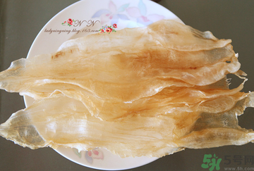 魚膠是什么？魚膠的功效與作用？