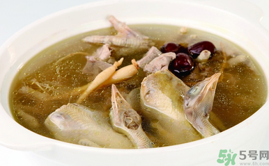 孕婦可以吃魚(yú)膠嗎？魚(yú)膠怎么燉適合孕婦吃？