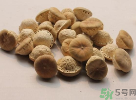 壯陽果可以泡水喝嗎？壯陽果泡水喝的功效與作用