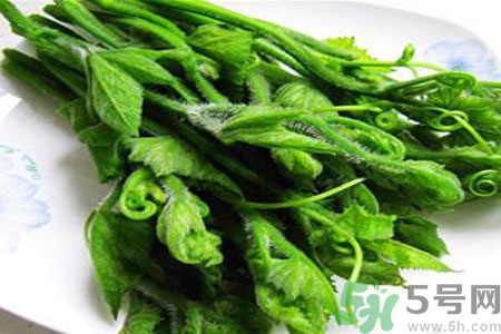 南瓜藤的功效作用有哪些？南瓜藤的食用價(jià)值是什么？