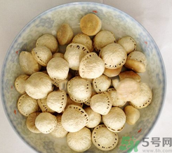 壯陽果怎么食用？壯陽果的功效與作用