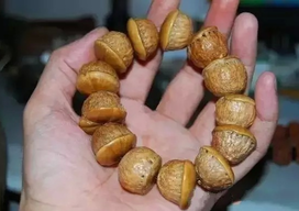 壯陽(yáng)果怎么泡酒？ 壯陽(yáng)果泡酒的功效與作用