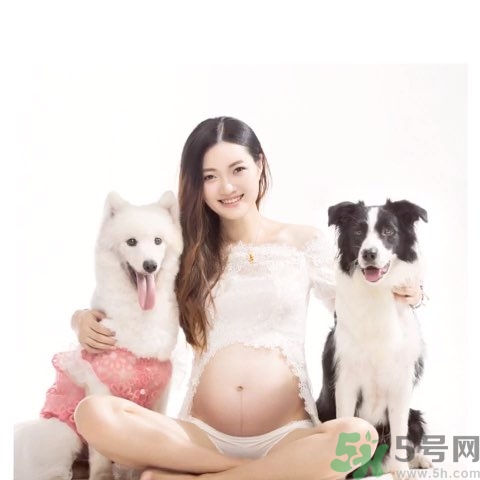孕婦可以養(yǎng)狗嗎？養(yǎng)狗對(duì)孕婦有影響嗎？