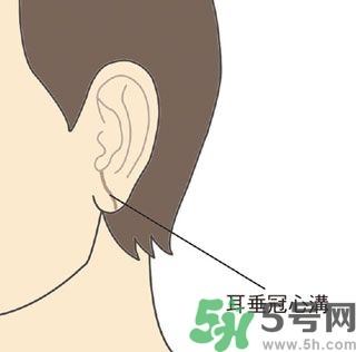 耳垂上有豎紋是怎么回事？山根有橫紋是什么病？