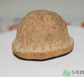 壯陽果多少錢一斤？壯陽果真的有效果嗎？