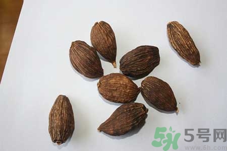 草果是什么？草果的功效與作用