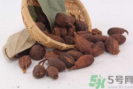 草果是什么？草果的功效與作用