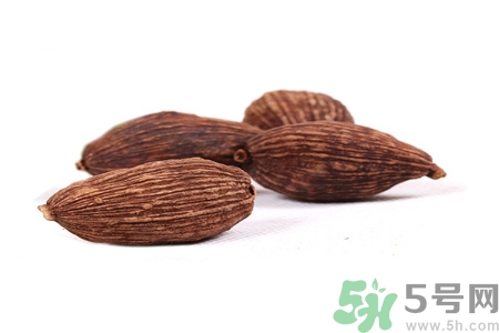 草果是什么？草果的功效與作用