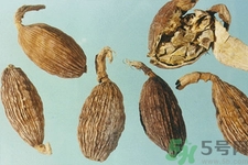 草果是什么？草果的功效與作用