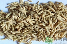 麥冬的營養(yǎng)價值有哪些？麥冬的功效與作用是什么？