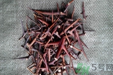 皂角刺的藥用價值是什么？皂角刺的功效與作用有哪些？