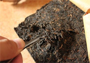 普洱茶怎么保存？茶葉能放冰箱嗎？