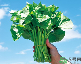 孕婦可以吃地瓜葉嗎？孕婦吃地瓜葉的好處
