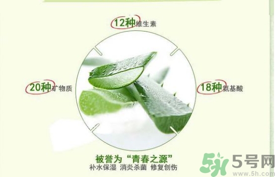 the saem得鮮和自然樂(lè)園哪個(gè)好？得鮮的蘆薈膠和自然樂(lè)園哪個(gè)好？