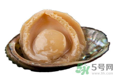 鮑魚如何挑選？鮑魚怎么保存？