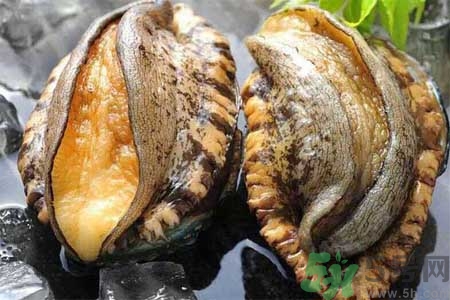 鮑魚的營養(yǎng)價值有哪些？鮑魚的藥用價值是什么？